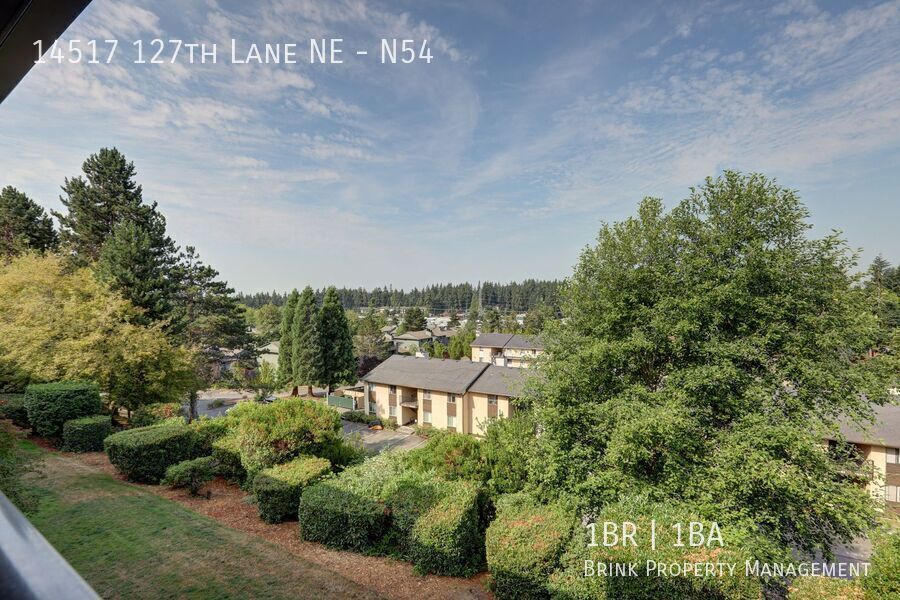 Clean Top Floor 1BR 1BA Condo with Wood Burning Fireplace property image