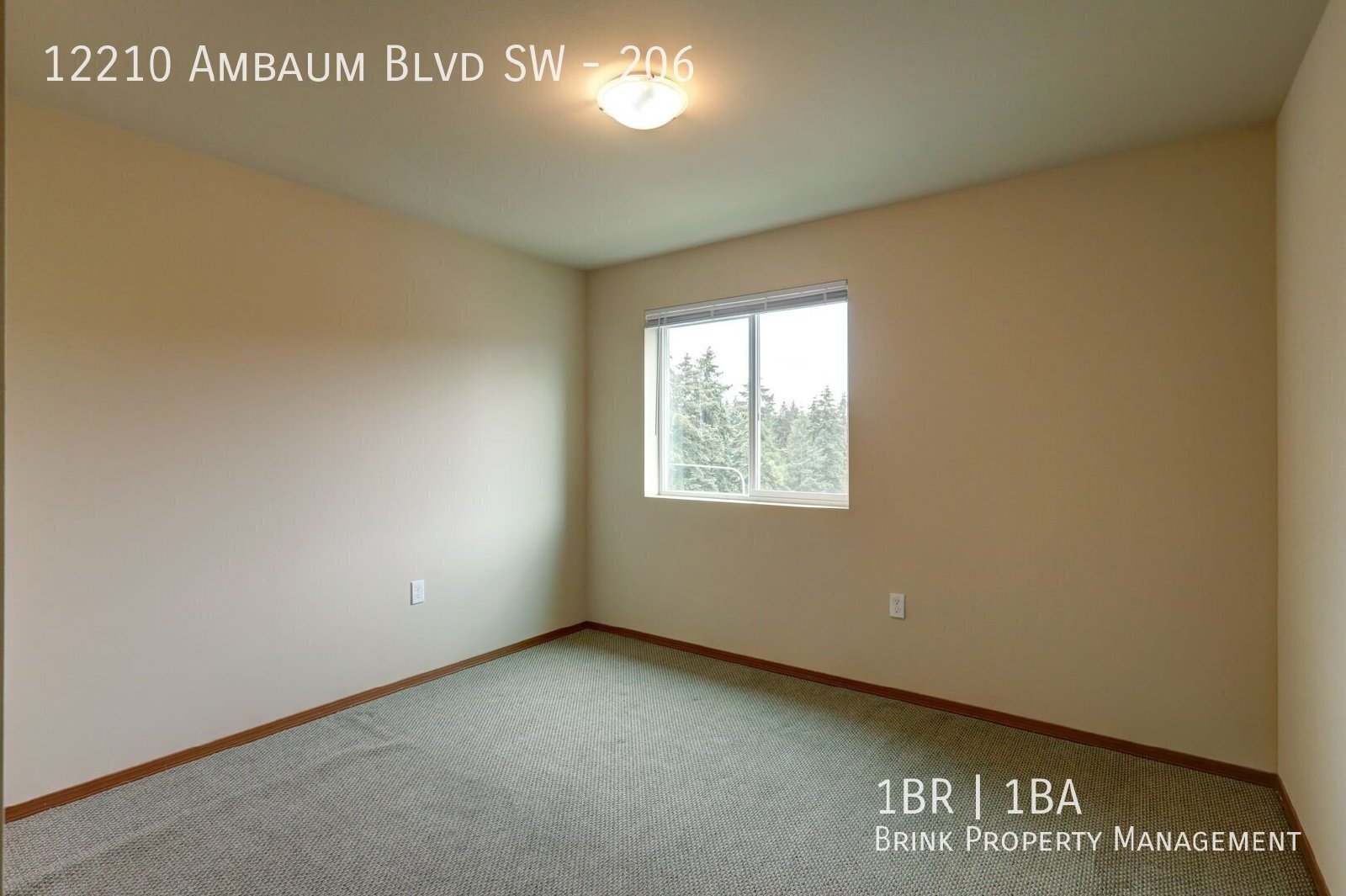 Ambaum Place | Spacious Floorplan w/ In-Unit Laundry Available Now! property image